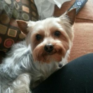 Meet your Posher, Tabitha